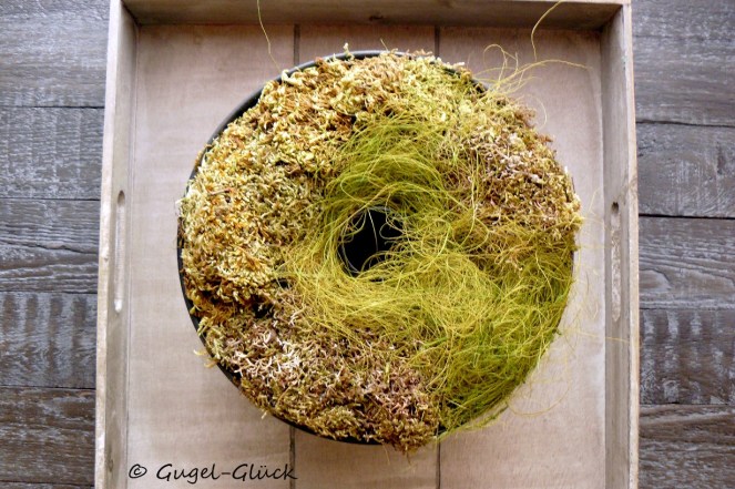 herbststillleben-im-gugel-04s