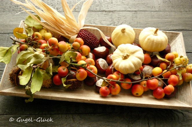 herbststillleben-im-gugel-06s