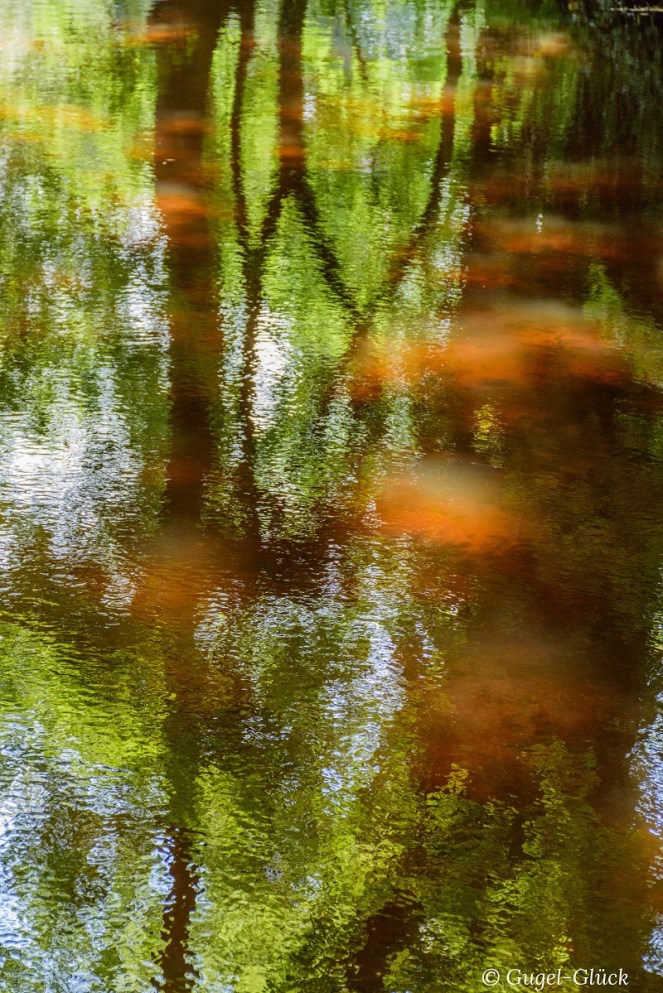 Wasserspiegelung Ss