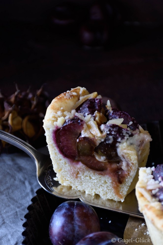 Zwetschgendatschi Stück hoch-1 Ss