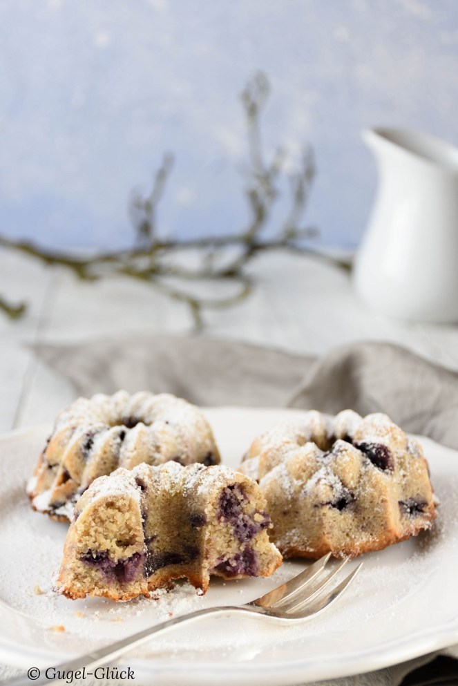 LC Heidelbeerkuchen 01 Ss